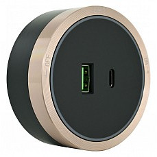 Розетка usb и type c на треке arte milano am-track-sockets 380066ts led-usb-type-c gold